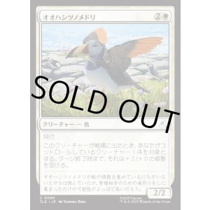 画像: 【Foil】【日本語版】オオハシツノメドリ/Toucan-Puffin