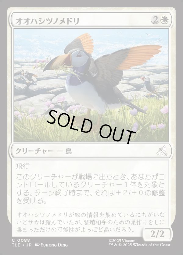 画像1: 【Foil】【日本語版】オオハシツノメドリ/Toucan-Puffin (1)