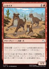 画像: 【日本語版】シカイヌ/Deer-Dog