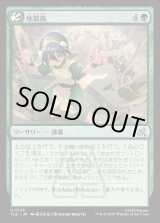 画像: 【Foil】【日本語版】地裂術/Cracked Earth Technique