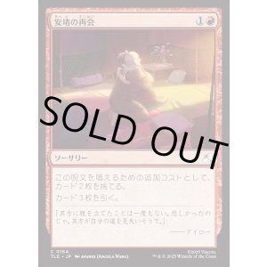 画像: 【Foil】【日本語版】安堵の再会/Cathartic Reunion