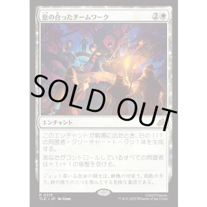 画像: 【日本語版】息の合ったチームワーク/Allied Teamwork