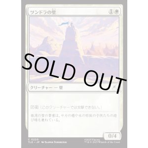 画像: 【日本語版】ツンドラの壁/Tundra Wall