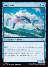 画像: 【日本語版】トビイルカ/Flying Dolphin-Fish