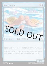 画像: 【Foil】【日本語版】セイウチガメ/Turtle-Seals