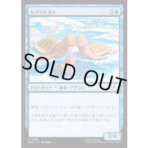 画像: 【Foil】【日本語版】セイウチガメ/Turtle-Seals