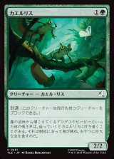 画像: 【日本語版】カエルリス/Frog-Squirrels