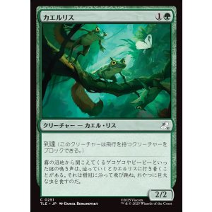 画像: 【日本語版】カエルリス/Frog-Squirrels