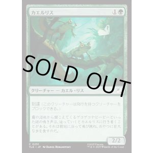 画像: 【Foil】【日本語版】カエルリス/Frog-Squirrels