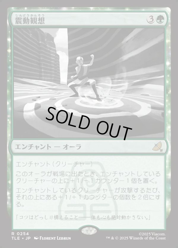 画像1: 【日本語版】震動観想/Seismic Tutelage (1)