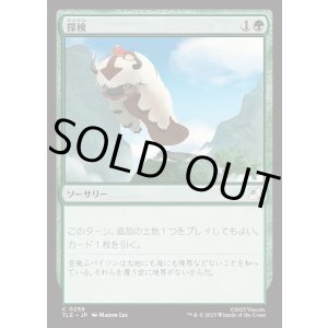 画像: 【Foil】【日本語版】探検/Explore