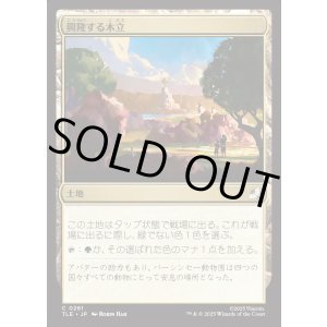 画像: 【Foil】【日本語版】興隆する木立/Thriving Grove