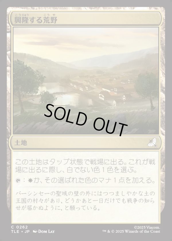 画像1: 【Foil】【日本語版】興隆する荒野/Thriving Heath (1)