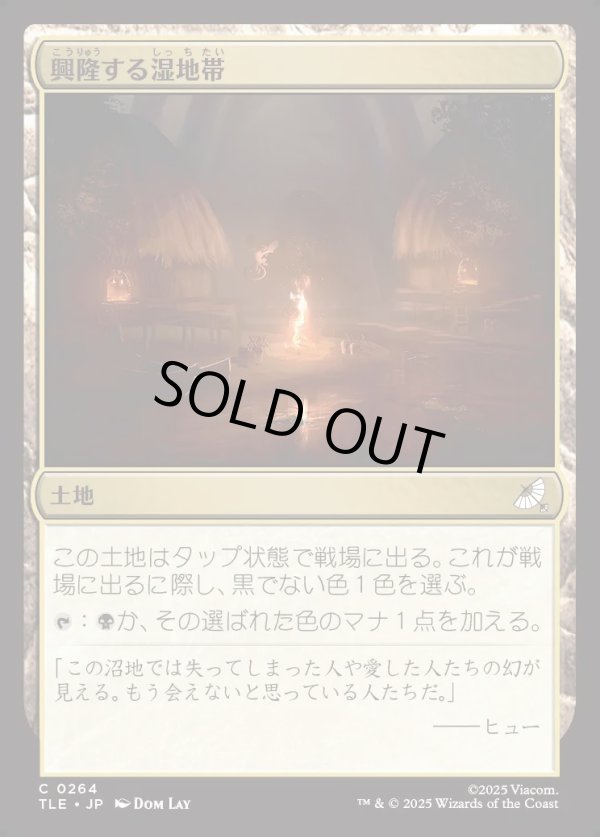 画像1: 【Foil】【日本語版】興隆する湿地帯/Thriving Moor (1)