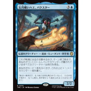 画像: 【日本語版】五月蠅いハエ、バクスター/Baxter, Fly in the Ointment