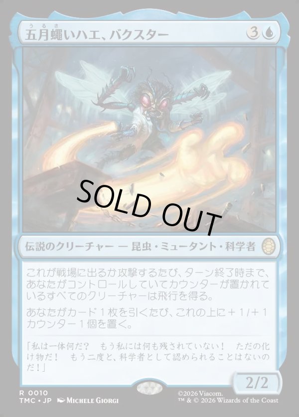 画像1: 【日本語版】五月蠅いハエ、バクスター/Baxter, Fly in the Ointment (1)