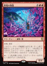 画像: 【日本語版】帯電の海藻/Electric Seaweed