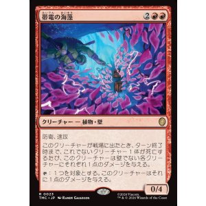 画像: 【日本語版】帯電の海藻/Electric Seaweed