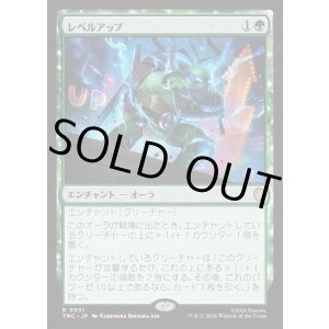 画像: 【日本語版】レベルアップ/Level Up