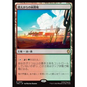 画像: 【日本語版】燃えがらの林間地/Cinder Glade