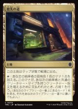 画像: 【日本語版】祖先の道/Path of Ancestry