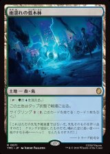 画像: 【サージFoil】【日本語版】雨濡れの低木林/Rain-Slicked Copse