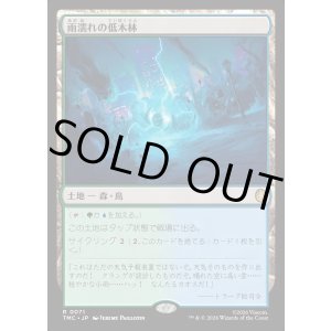 画像: 【日本語版】雨濡れの低木林/Rain-Slicked Copse