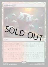 画像: 【日本語版】根縛りの岩山/Rootbound Crag