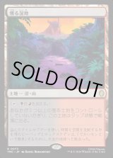 画像: 【日本語版】燻る湿地/Smoldering Marsh