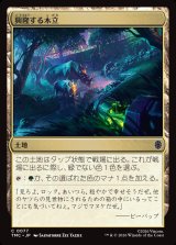 画像: 【日本語版】興隆する木立/Thriving Grove