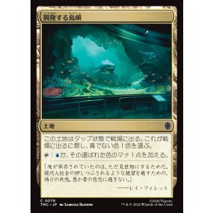 画像: 【日本語版】興隆する島嶼/Thriving Isle