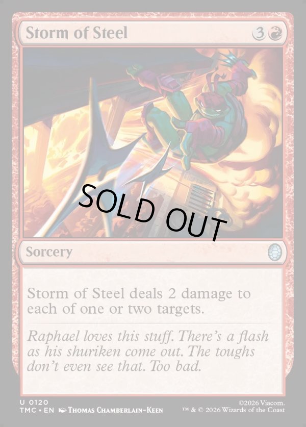 画像1: 『英語版』Storm of Steel (1)