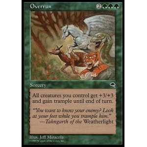 画像: 『英語版』踏み荒らし/Overrun