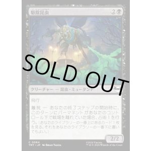 画像: 【Foil】【日本語版】駆除昆虫/Insectoid Exterminator