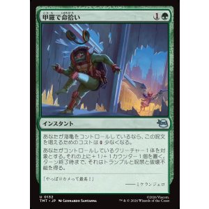 画像: 【日本語版】甲羅で命拾い/Saved by the Shell