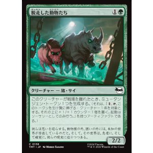 画像: 【日本語版】脱走した動物たち/Zoo Escapees