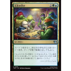 画像: 【日本語版】人生の学び/Lessons from Life