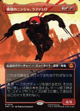 画像: 【ボーダーレス・シルエット】【日本語版】破壊のニンジャ、ラファエロ/Raphael, Ninja Destroyer