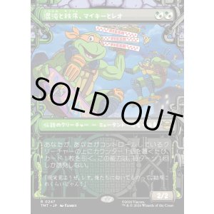 画像: 【下水道フレーム】【日本語版】混沌と秩序、マイキーとレオ/Mikey & Leo, Chaos & Order