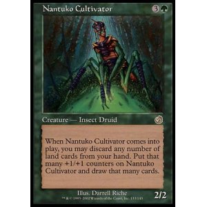 画像: 【日本語版】ナントゥーコの養成者/Nantuko Cultivator