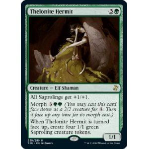 画像: 『英語版』セロン教の隠遁者/Thelonite Hermit