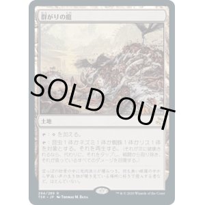 画像: 【日本語版】群がりの庭/Swarmyard