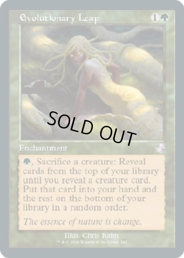 画像1: 『英語版』進化の飛躍/Evolutionary Leap (1)