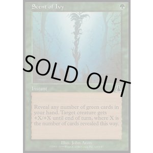 画像: 【日本語版】キヅタの匂い/Scent of Ivy