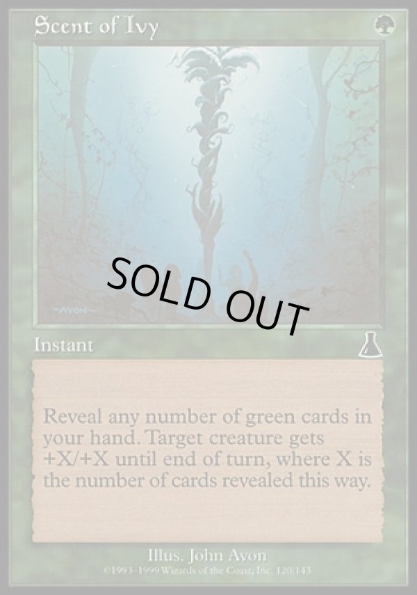 画像1: 【日本語版】キヅタの匂い/Scent of Ivy (1)