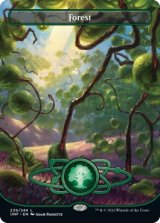 画像: 『英語版』森/Forest
