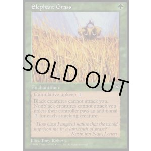 画像: 【日本語版】エレファント・グラス/Elephant Grass