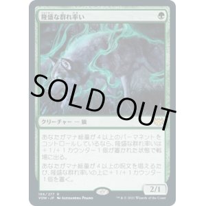 画像: 【日本語版】隆盛な群れ率い/Ascendant Packleader