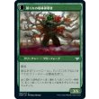 画像2: 【日本語版】休樹林帯/節くれの樹林徘徊者/Dormant Grove/Gnarled Grovestrider (2)