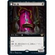 画像1: 【拡張枠】【日本語版】隠し幕/暴き目/Concealing Curtains/Revealing Eye (1)